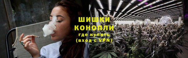 ГАЛЛЮЦИНОГЕННЫЕ ГРИБЫ Алексин