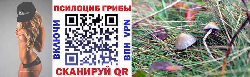 даркнет Telegram Медынь Галлюциногенные грибы ЛСД